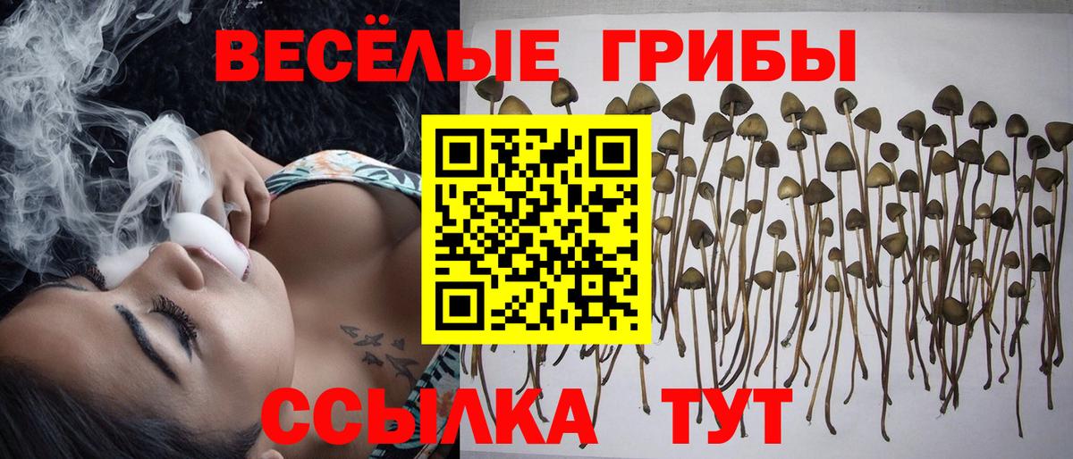Галлюциногенные грибы ЛСД  Вход с VPN  Петропавловск-Камчатский 